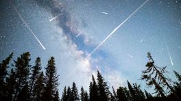 Foto tomada de National Geographic