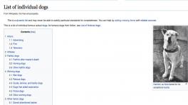 Perros en el espacio, perros en la guerra, perros de famosos. Una página de perros por doquier. 