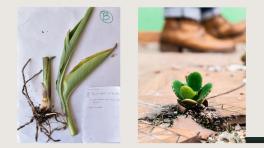 Foto: Jefferson Ortiz, de la Fundación Gilberto Alzate Avendaño