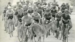 Foto: Banco de la República