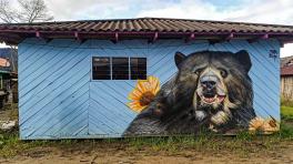 Fotos cortesía de la Fundación Viva la Música Nuestra.