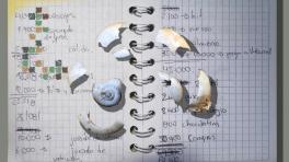 Ilustración del capítulo "La espiral del caracol", escrita por Disney Cardoso e ilustrada por Lisa Colorado y Sergio Román. Cortesía del Instituto Caro y Cuervo. 