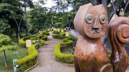 Gato del río. Secretaría de Turismo de Cali