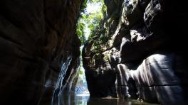 Foto por Juan Gabriel Soler - Archivo Gaia Amazonas