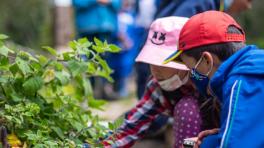 “Así suena Sumapaz”, un podcast sobre el páramo más grande del mundo