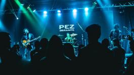 Foto cortesía de Pez Errante