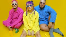 Conozca el retrofuturismopsicotropical de Motherflowers