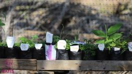 Los retos alimenticios en el Atlántico. Foto tomada de la fundación Batis