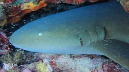 Fotos: cortesía de Andrés Felipe Acosta