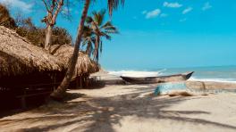 Imagen de Azzedine Rouichi. Unsplash.m 