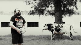 "Del bar a las calles" de Chite