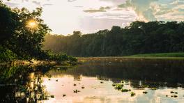 Imagen de Kiyoshi. Unsplash. 