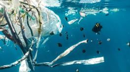 Foto: Naja Bertolt Jensen/ Unsplash