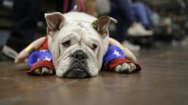 Foto cortesía de Colprensa.