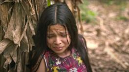 Imagen del tráiler de "No fue mi culpa".