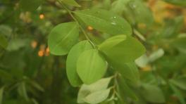 Foto por: Sten Porse