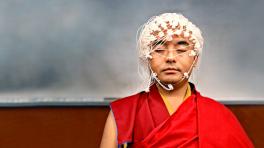 La mente, en pocas palabras