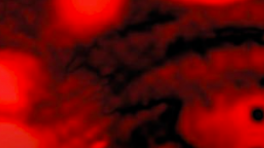 Exposición Lucíferas