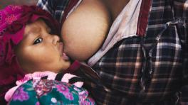 Foto de Mehmet Turgut Kirkgoz tomada de Pexels 