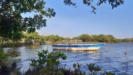 Ciénaga de Mallorquín. Fotos Jeison Osorio. Fundación Grupo Cohesión | Radiónica