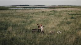 Imagen del adelanto de Festiver 2022 tomada de YouTube.