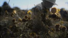 “Mujer Laberinto” de Frailejón 