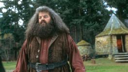 Robbie Coltrane como Hagrid en Harry Potter