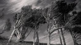 Imagen: Jd designs. Unsplash. 