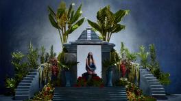 'La estrella' de Chancha Vía Circuito. 