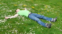 Foto de Pixabay: https://www.pexels.com