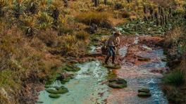 Imagen cortesía del proyecto