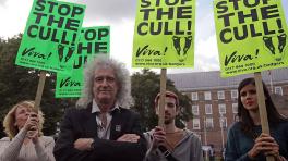 Bryan May ahora es ‘caballero’ de la realeza británica 