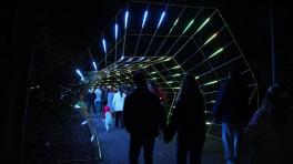 Cerca de 300 mil personas visitaron 'Polinizando'