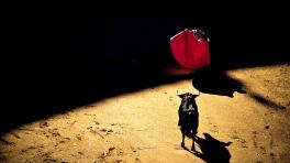 Imagen: Giovanni Calia. Unsplash. 