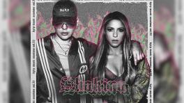 ¡No es plagio! Dice periodista de RTVC sobre canción de Shakira