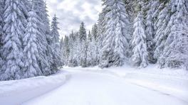 Foto tomada de Freepik