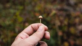 Imagen: Artur Kornakov. Unsplash. 