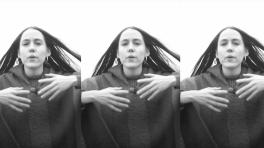 “Posmodernillo depredador” de Gabriela Ponce. 