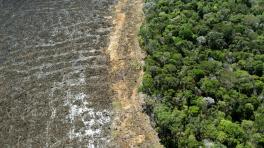 Fotografía aérea de un área deforestada cerca de Sinop, estado de Mato Grosso, Brasil, tomada el 7 de agosto de 2020. / Imagen: FLORIAN PLAUCHEUR / AFP