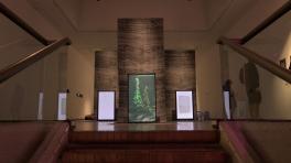 Exposición "Una historia de dos semillas: Sonido y silencio en los llanos latinoamericanos"