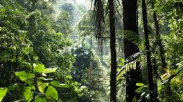 Foto: Alenka Skvarc / Unsplash