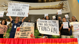 El 11 de julio de 2022, se aprobó la estrategia Matricula Cero para personas trans y no binarias.