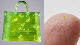 La micro imitación de Louis Vuitton que cuesta más de 200 millones de pesos.