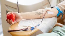 Guia básica para donar sangre