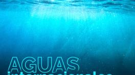 Aguas Internacionales