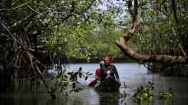 Golfo de Tribugá en el pacífico: éxito de las comunidades afrocolombianas en la conservación. Foto: Raul Arboleda | AFP