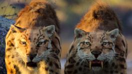 Netflix y Spielberg se unen en nueva serie documental | Foto de Netflix