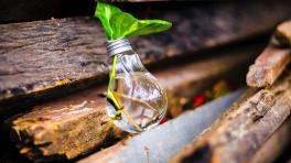 Foto de Bruno Scramgnon