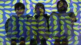 Animal Collective: foto del comunicado de prensa