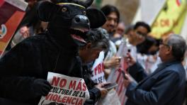 ¡Histórico! Colombia prohíbe las corridas de toros | Foto de la Cámara de Representantes